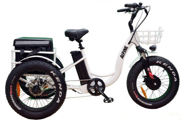 Alpine electric shop explorer trike