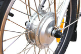 Alpine Electric Bikes - Electric Tilt Trike - e Tricycle